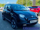 Fiat Panda 1.0 Cross City Plus Hybrid Klima  .Rücksb  - gebrauchte Fiat Panda aus dem Jahr 2023