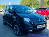 Fiat Panda 1.0 Cross City Plus Hybrid Klima  .Rücksb  - Fiat Panda aus 2023