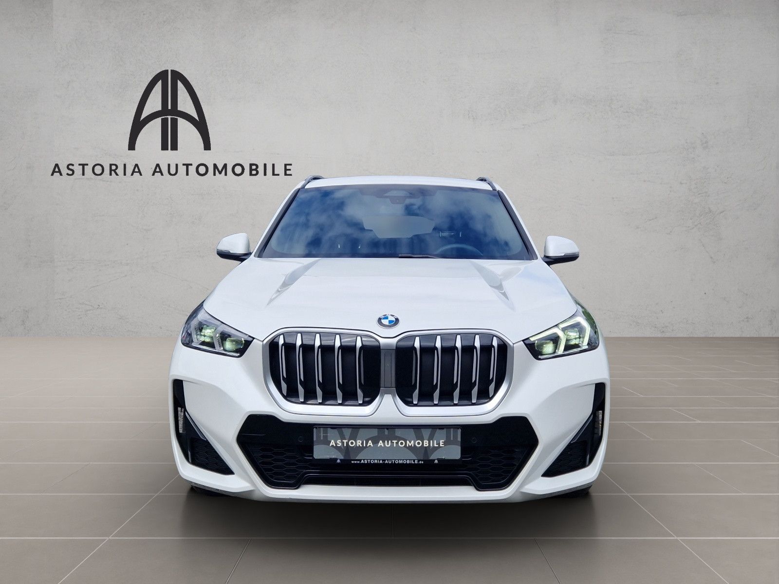 BMW X1 20 d xDrive M-Sport Hexacube DAB Kamera Alcan foto 2