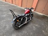 Harley-Davidson Forty-Eight  - Angebote entsprechen deinen Suchkriterien