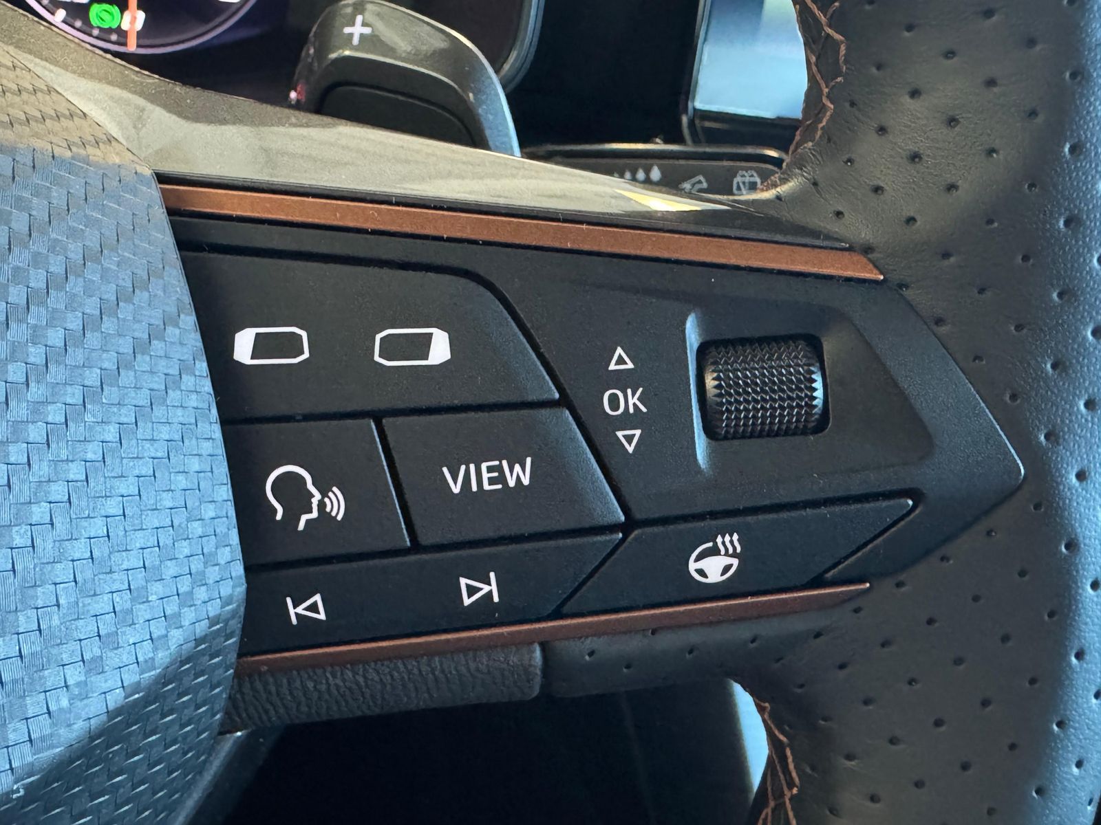 Fahrzeugabbildung CUPRA Leon VZ 2.0 TSI Pano Assist-XL Matrix Full-Link