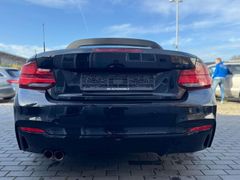 Fahrzeugabbildung BMW 220 220 d M PAKET M2 CS UMBAU