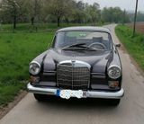 Mercedes-Benz 200 D Heckflosse  - Mercedes-Benz mit Diesel-Antrieb: Heckflosse