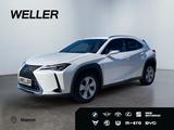 Lexus UX 250h Style Edition *PDC*ACC*Keyless*LED* - Lexus: L