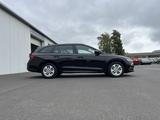 Skoda Octavia Combi 2.0 TDI Blackline 144€ m. 20% Anza - Skoda Octavia Combi mit Diesel-Antrieb