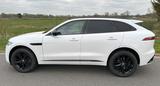 Jaguar F-Pace D300 R-DYNAMIC SE AWD BLACK GARANTIE 9/28 - Jaguar F-Pace aus 2023