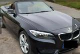 BMW 218i Cabrio | nur 64.800 km | Leder | gepfl. - BMW: Cabrio, 8