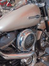 Harley-Davidson Sport Glide (FLSB) - Motorräder in Osnabrück