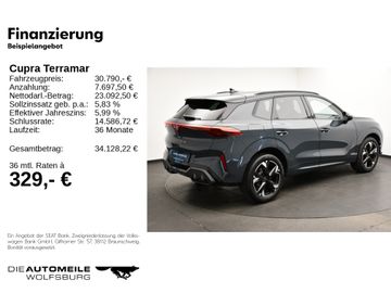 Cupra Terramar - 2