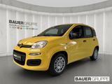 Fiat Panda Base 1.0 Mild Hybrid EU6e DAB Spurhalteass - Fiat Panda Neuwagen: Eu