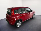 Fiat Panda 1.0 GSE /RADIO/KLIMA/PDC H/DAB - Fiat Panda aus 2024