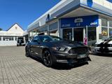Ford Mustang 3,7 Performence-Modell "LPG GAS - gebrauchte Ford Mustang aus dem Jahr 2017