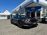 Ford Mustang 3,7 Performence-Modell "LPG GAS - Ford in Aschaffenburg