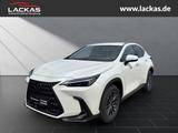 Lexus NX 350h 243 PS *Executive* 15 NX 350 INKL.AHK*EX - Lexus NX-Serie Neuwagen