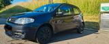 Fiat Punto 1.2 16V Trofeo Trofeo - Fiat Punto Trofeo