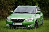 Skoda Fabia 1.2l TSI 77kW/105PS Top Ausstattung  - Skoda Fabia: Ausstattung