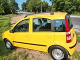 Fiat Panda 1.2 TÜV 06/2028 Klima - Fiat Panda Gebrauchtwagen in Kassel