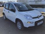 Fiat Panda MY24 1.0 Klima PDC Citypaket - Fiat Panda Vorführfahrzeuge