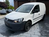 Volkswagen Caddy 1.6TDI DSG  I WEBASTO I BOTT REGALE I PDC - Volkswagen Caddy: 6.1