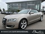 Audi A5 2.0 TFSI S-LINE/155 KW/ BANG & OLUFSEN/LEDER - Audi A5 aus 2010: Line