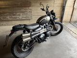 Triumph Street Scrambler 900 Limited Edition - TRIUMPH SCRAMBLER