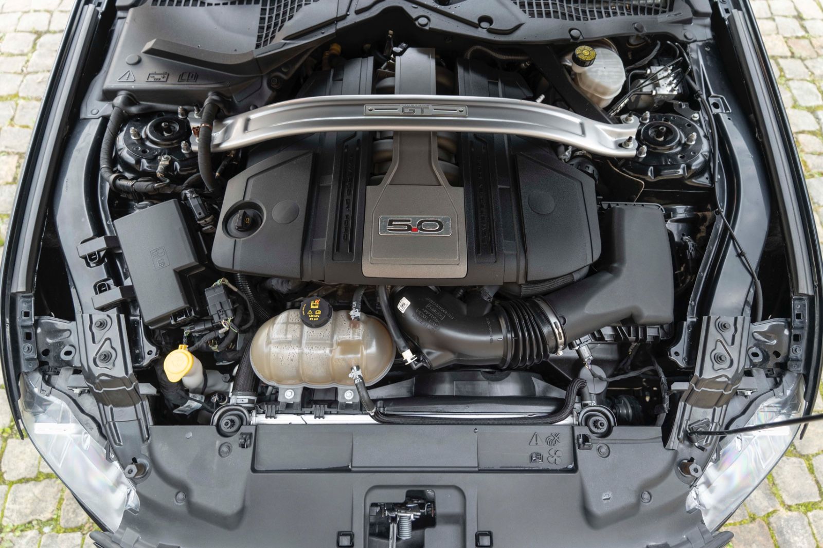 Fahrzeugabbildung Ford Mustang 5.0 GT  LED KAM NAV  SHZ SZK LEDER