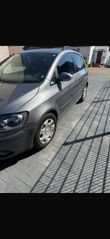 Volkswagen Golf plus 1,6 benziner - Volkswagen Golf Plus in Bremen
