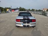 Ford Mustang 2.3 EcoBoost Auto - - Ford Mustang: Cabrio