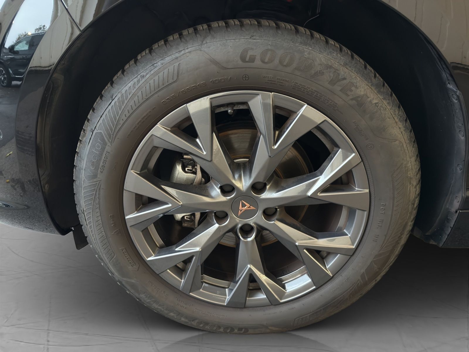 Cupra Terramar - Bild 18