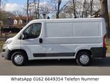 Fiat Ducato 2.0 L1H1 Kastenwagen AHK TÜV - Fiat Ducato: Kastenwagen