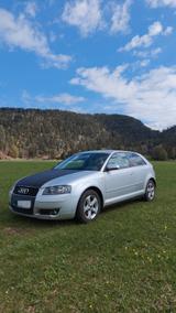 Audi A3 1.9 TDI Tüv neu  - Audi A3 aus 2003: 1.9