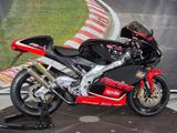 Aprilia RS250 TETSUYA HARADA - SPORTLER VON 126 BIS 250 CCM