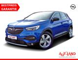 Opel Grandland X LED AHK Navi Panorama Kamera - Opel Grandland (X) Gebrauchtwagen