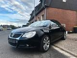 Volkswagen Eos 2.0 FSI Bertone  - Volkswagen Eos: Fsi