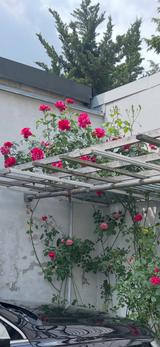 Audi SQ7 4.0 TDI quattro tiptronic - - scheckheftgepflegte Audi SQ7