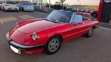 Alfa Romeo Spider - gebrauchte Alfa Romeo Spider aus dem Jahr 1983