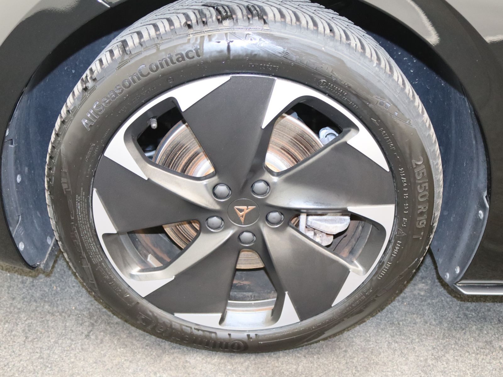 Cupra Born - Bild 18