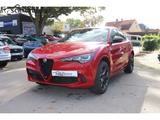 Alfa Romeo Stelvio Quadrifoglio Q4 2.9 V6 Bi-Turbo EU6e AD  - rote Alfa Romeo Stelvio