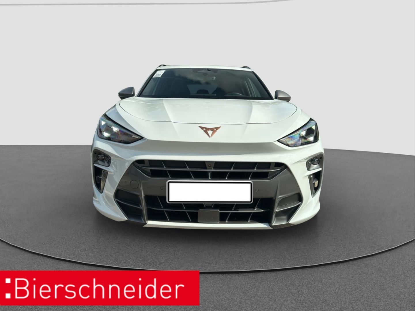 Cupra Terramar - Bild 3
