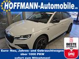 Skoda Scala Monte Carlo AHK,Matrix-LED,Kamera,Climatr. - Skoda Scala
