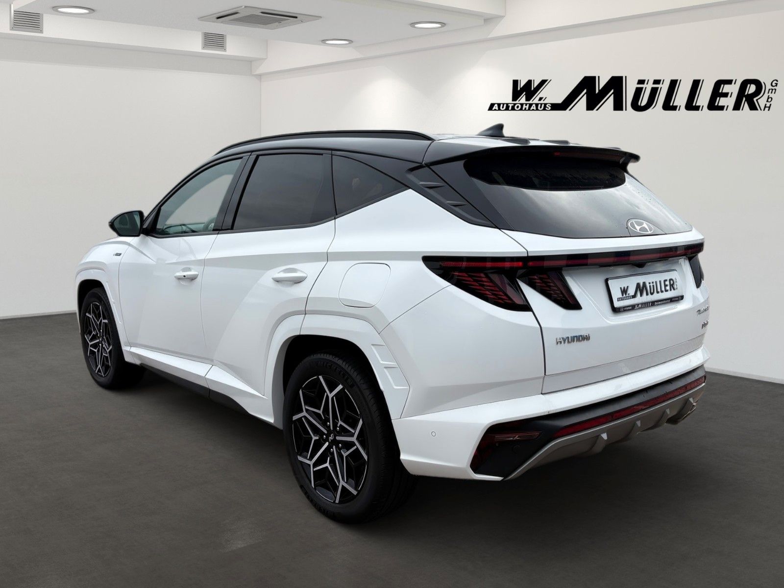 Fahrzeugabbildung Hyundai Tucson N Line Plug-In Hybrid Sitz- & Assis Paket