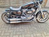 Harley-Davidson XL883 - Angebote