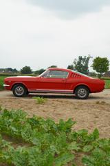 Ford Mustang Fastback C Code Klima - Ford Mustang aus 1965: Fastback