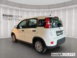 Fiat Panda 1.0 Hybrid MHEV *Klima * TOP PREIS * - gebrauchte Fiat Panda aus dem Jahr 2023