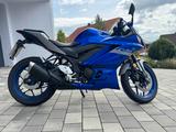 Yamaha YZF-R3 - SPORTLER VON 251 BIS 500 CCM