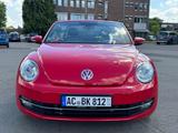 Volkswagen Beetle Cabriolet Design BMT, Eu6, Gepflegt - gebrauchte VW Beetle aus dem Jahr 2015