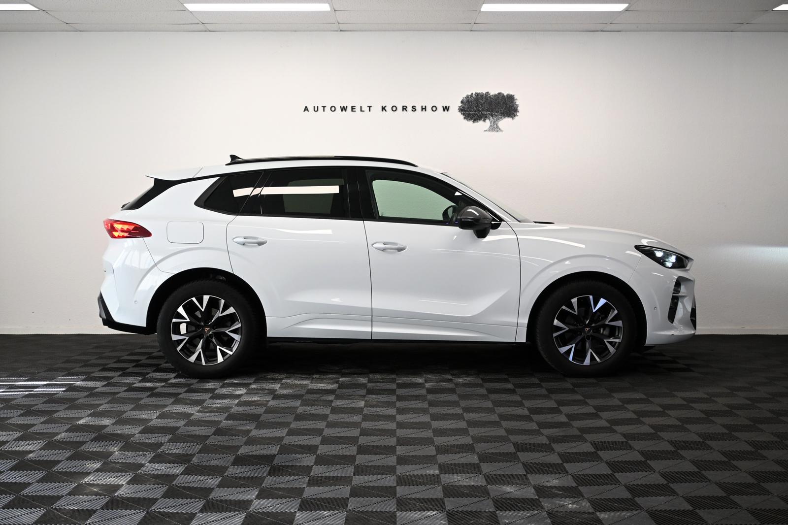 Cupra Terramarr *KEYLESS*MEMORY*LED*HEAD-UP*360°KAMERA