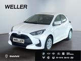 Toyota Yaris Hybrid 116 1.5 Comfort *ACC*RCam*CarPlay* - Toyota Gebrauchtwagen in Bielefeld