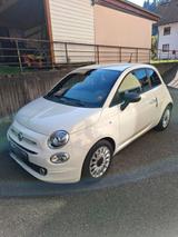 Fiat 500 Hybr.Benzin/E - Fiat 500 in Freiburg