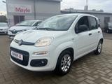 Fiat Panda More #Tüv Neu #Inspk-Neu #Garantie #S-Heft - Fiat Panda: I